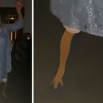 A women wore chicken socks to a wedding and was a hit on the dance floor.