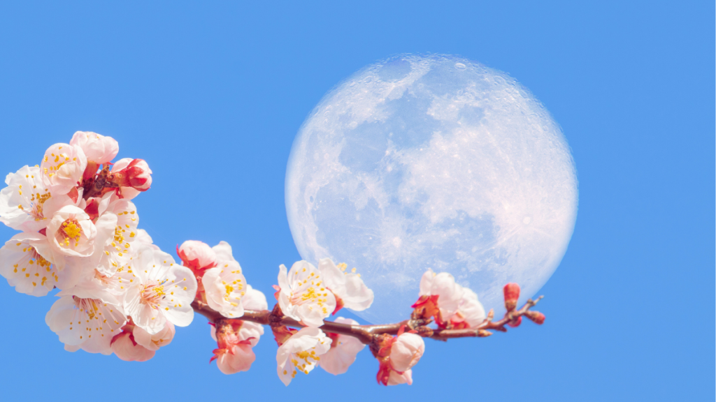 Flower Moon