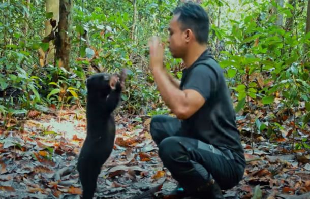 Image shows Tenom playing with her foster "mom" Jude.