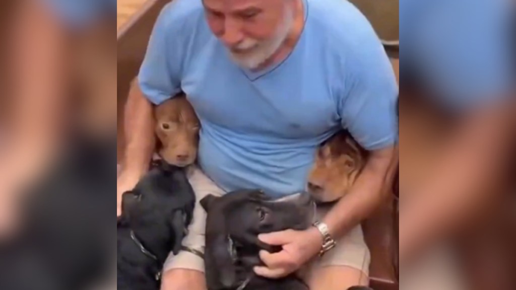 Close up of a man on a small boat. He's cuddling with four dogs.