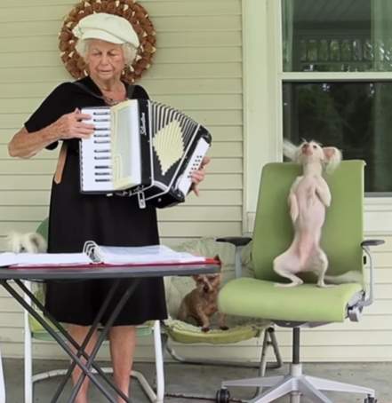 An elderly grandma playing the accordion while a dog dances.