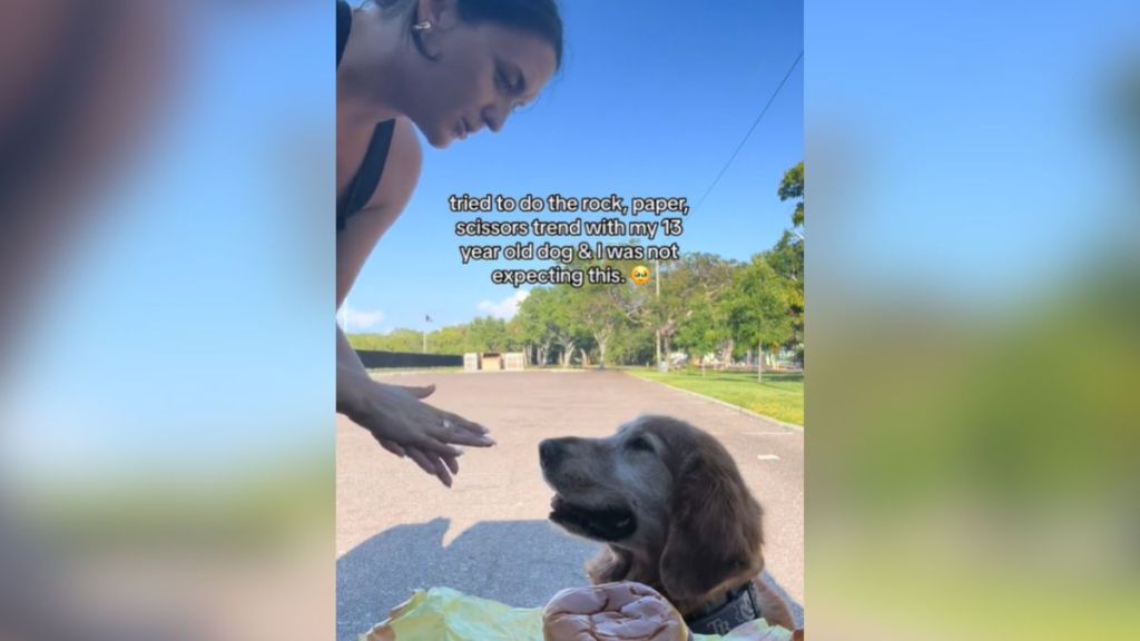 A woman looks at her golden retriever, who is sitting in front of a burger.