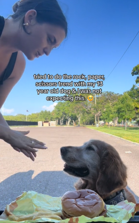 A woman looks at her golden retriever, who is sitting in front of a burger.
