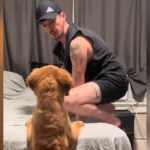 A man squats on a bed as he looks over at his golden retriever puppy. The pup's back is facing the camera. He's peaking onto the bed but his hindlegs are still on the floor.