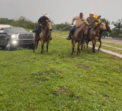 A group of cowboys on horses pulling a truck.