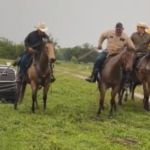 A group of cowboys on horses pulling a truck.