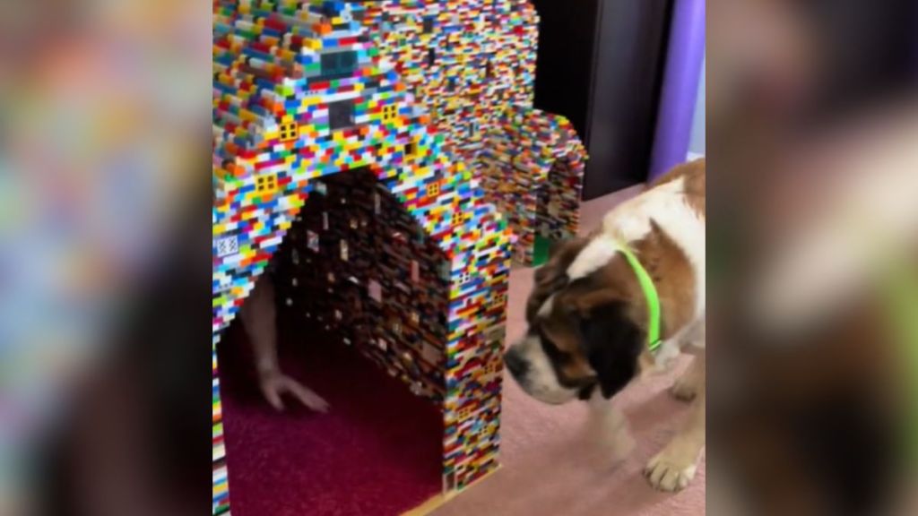 A large dog entering a house made of LEGO bricks.
