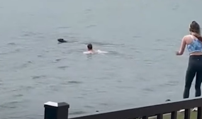 A man swims after a dog in the river while a woman watches anxiously.