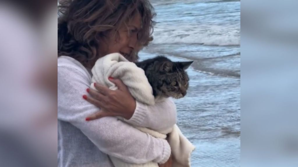 A woman holds her cat at the beach so he can see the ocean.