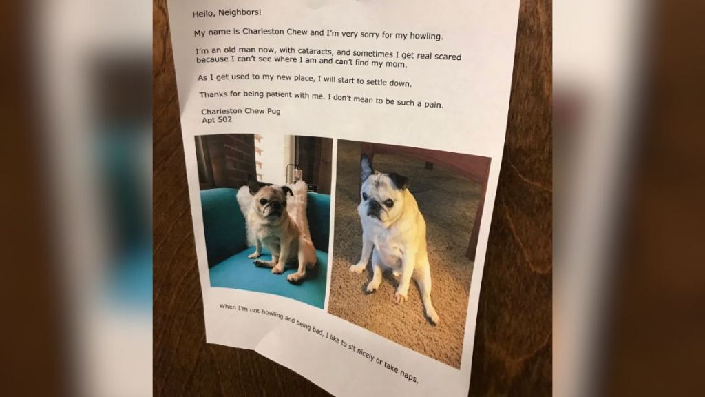A message taped to a door with pictures of a pug on it.