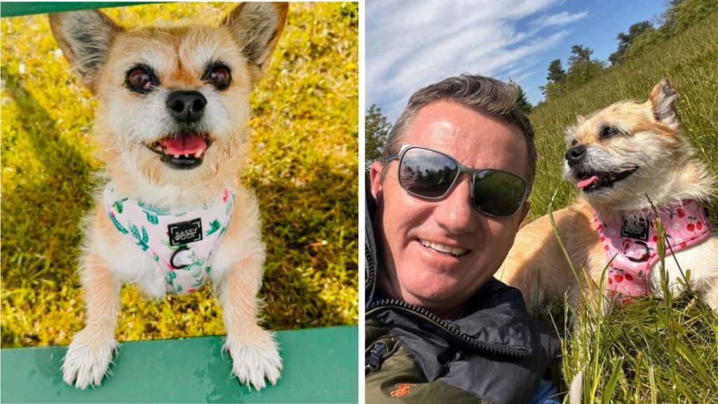 Left image shows Gobi posing for a picture during a walk. Right image shows a selfie of Dion Leonard and Gobi.