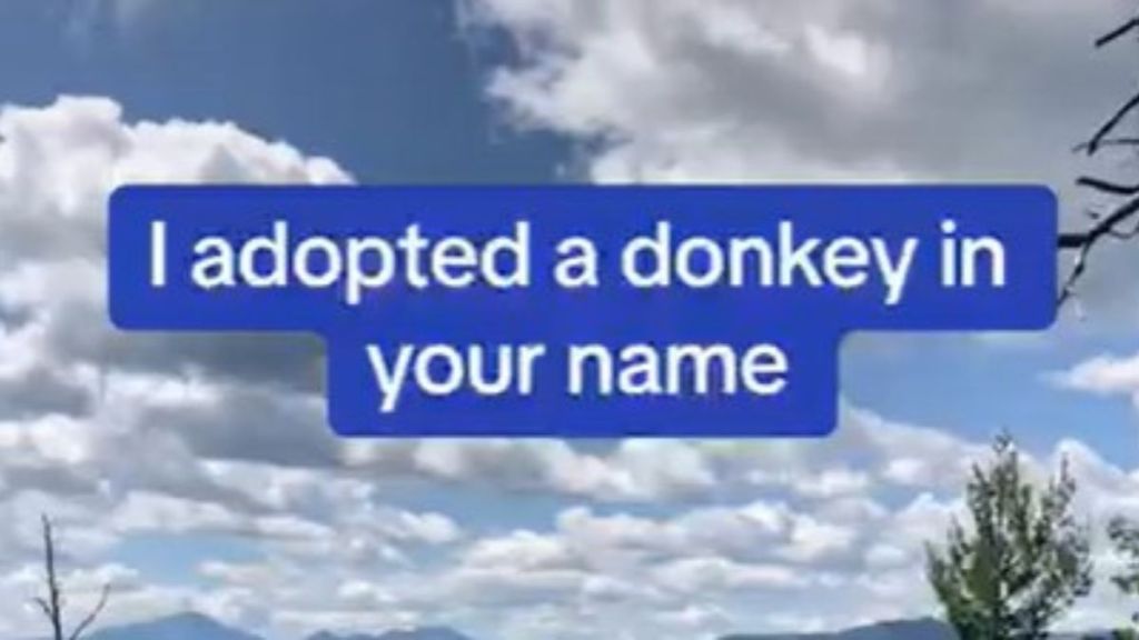 In a text for their teenager, a parent is informed that a donkey has been adopted in their name.