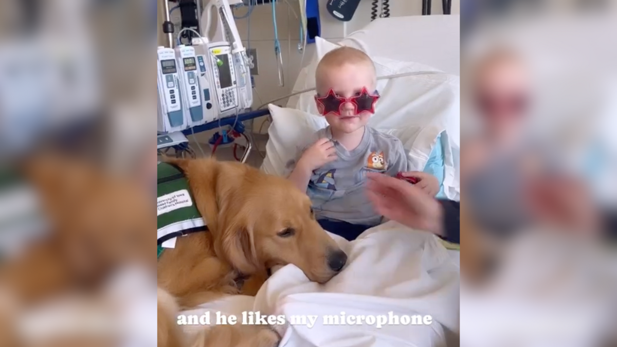 Mic Catches Conversation With Therapy Dog At Children's Hospital