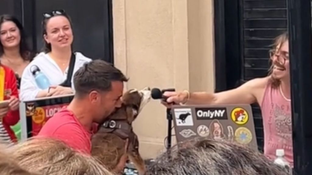 Marc Rebillet holding a microphone for a dog during a performance.