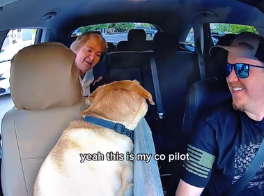 An Uber customer getting into a car with a dog in the passenger seat.