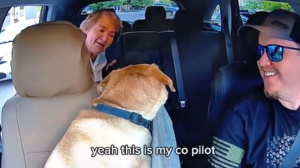An Uber customer getting into a car with a dog in the passenger seat.