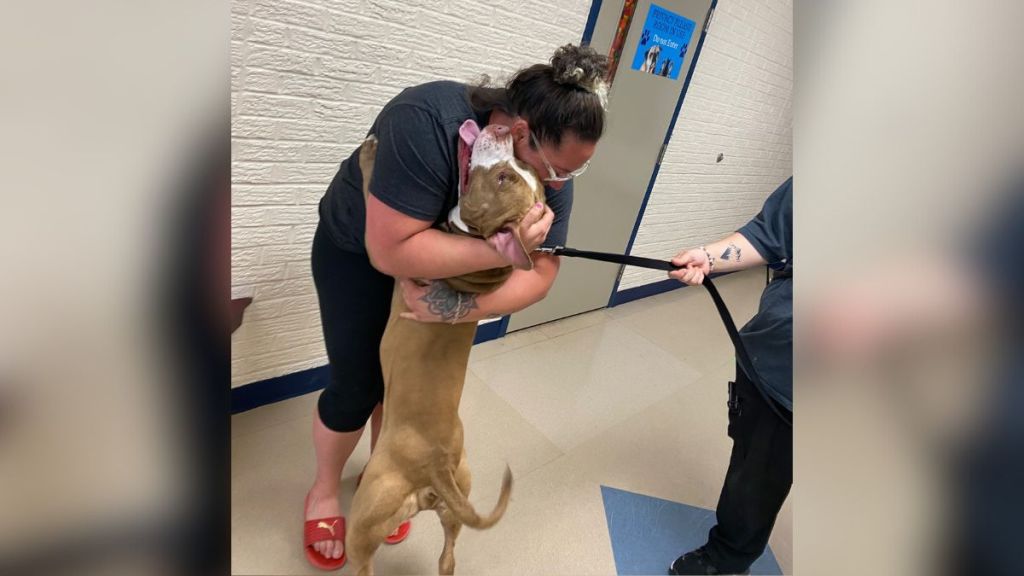 A woman hugging her dog.