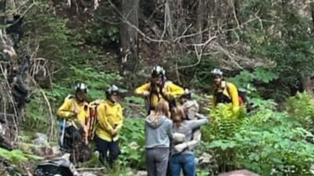 View from a distance of a missing man reuniting with two family members - they're hugging in a wooded area. First responders gather around them