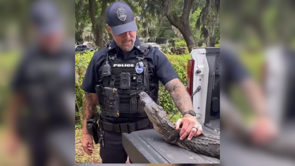 officer gator