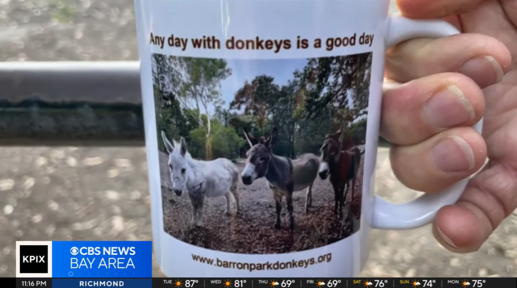 Close up of a mug. On it is an image of three donkeys, Perry included. text on the mug reads: Any day with donkeys is a good day