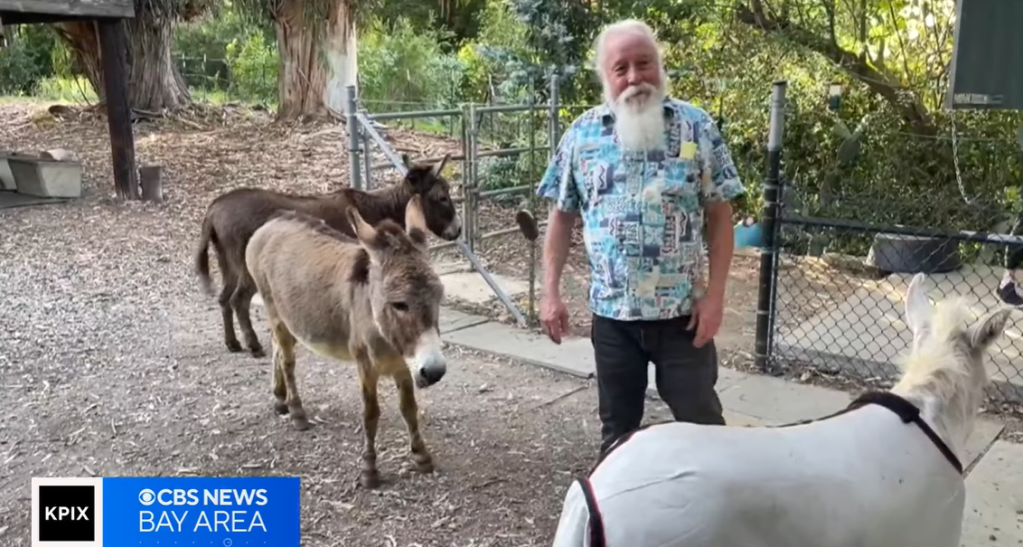 A man smiles as he stands near three donkeys outside.
