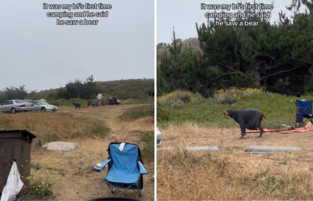 Left image shows a camping scene and what appears to be a bear. Right image shows that the creature is not a bear.