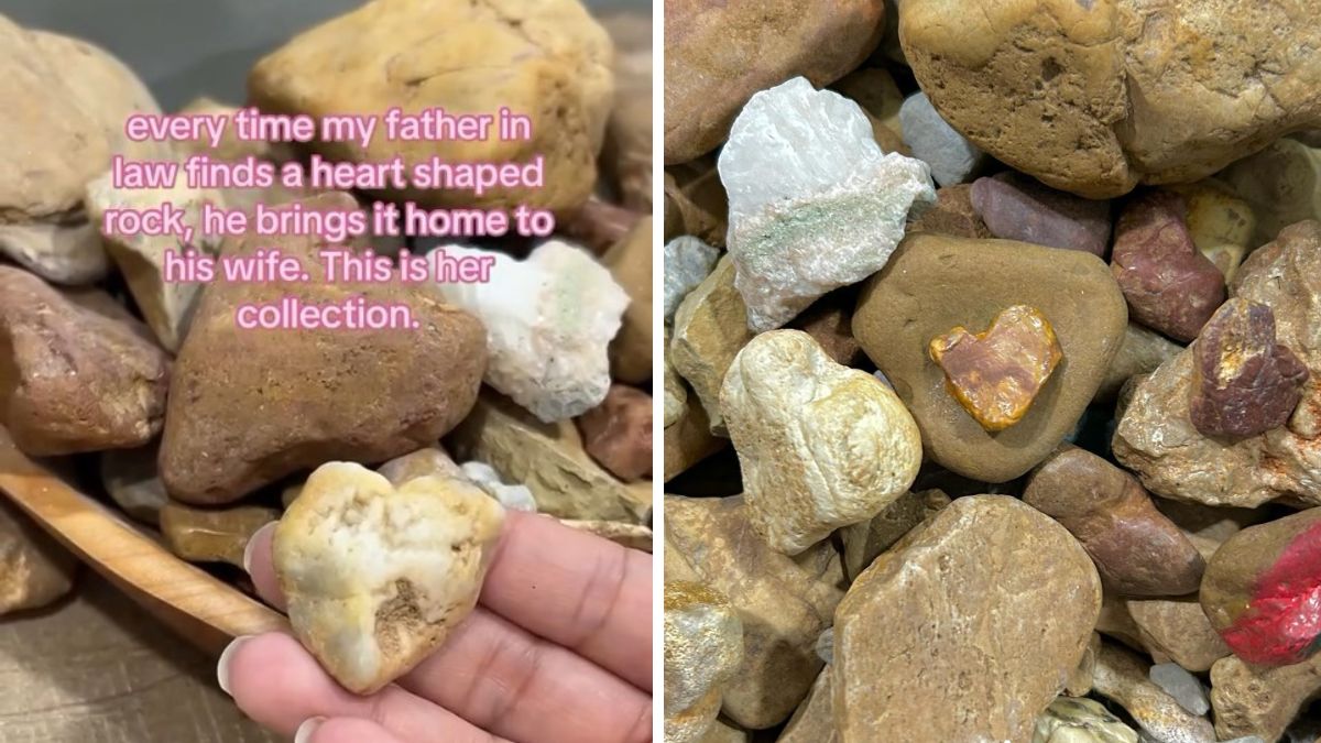 Daughter Shares Mom's Heart-Shaped Rock Collection From Dad – InspireMore