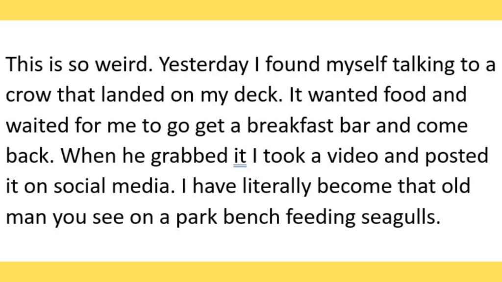 Image consists of words that say, "This is so weird. Yesterday I found myself talking to a crow that landed on my deck. It wanted food and waited for me to go get a breakfast bar and come back. When he grabbed it I took a video and posted it on social media. I have literally become that old man you see on.a park bench feeding seagulls."