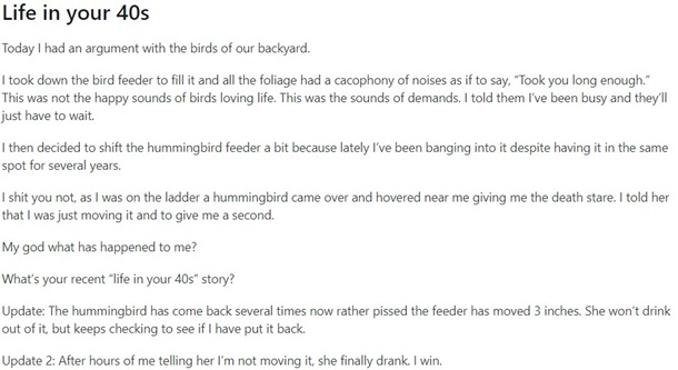 Image shows a screenshot of a Reddit post about refilling and moving bird feeders while arguing with the birds to illustrate what life in your 40s is like.