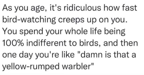 Image shows a screenshot of a Reddit post highlighting how "life in your 40s" automatically results in everyone being able to identify bird species by name.