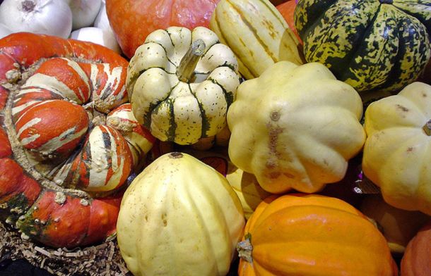 Image shows a variety of different types of squash.