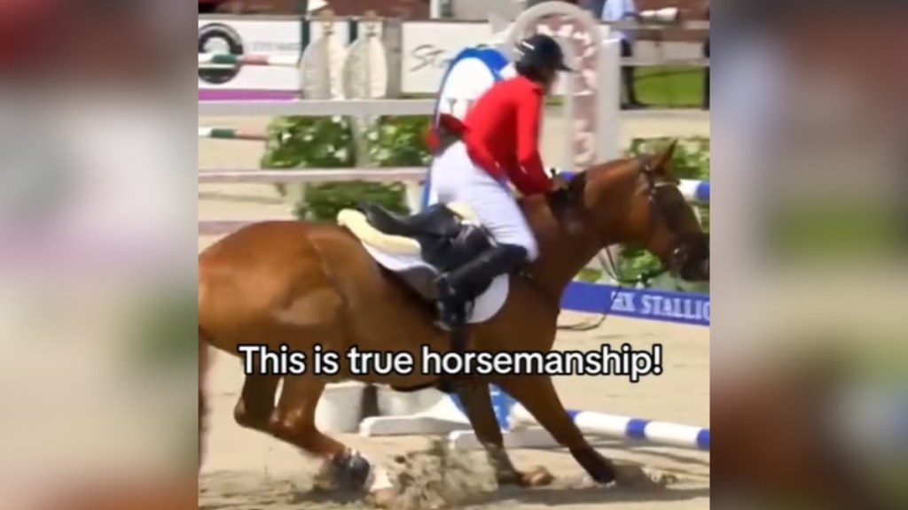 A teen rides on a horse. The horse is approaching a hurdle but seems to be stopping short, sending the rider off her seat a bit. Text on the image reads: This is true horsemanship