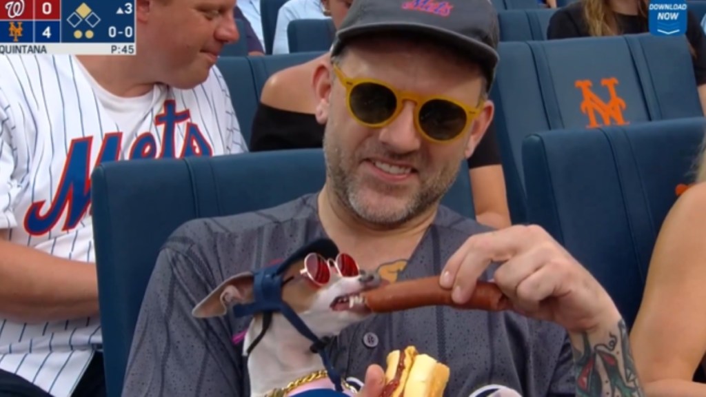 A man wearing sunglasses laughs as he smiles, looking down at his dog who he's feeding a hot dog to. The dog, who is wearing a hat, chains, and sunglasses, shows off his tiny sharp teeth as he bites the hot dog.