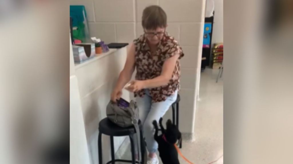 A little black dog on her hind legs pawing at a woman.
