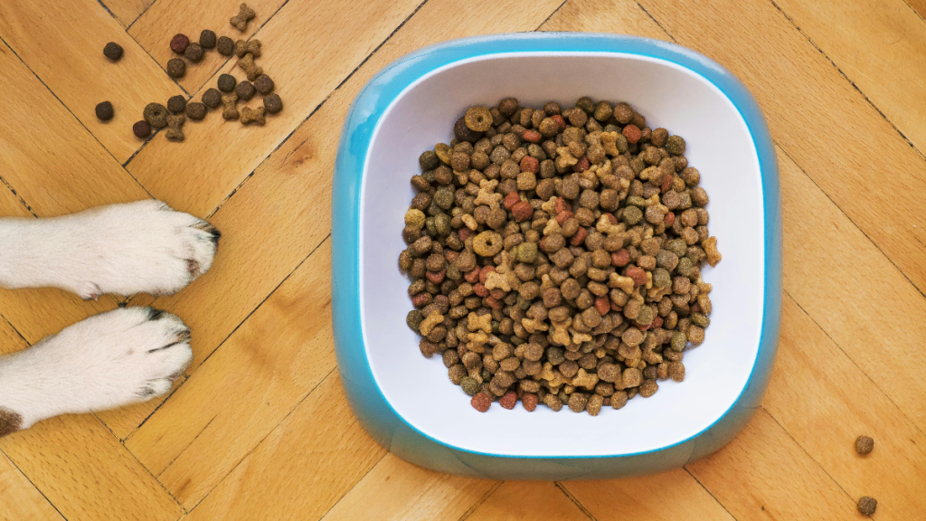 pets foods recall