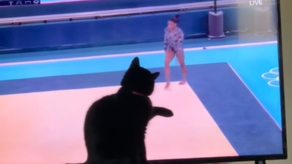 Close up of a black cat sitting in front of a TV. She holds up a paw as she intently watches Simone Biles get ready to start her routine at the Paris Olympics
