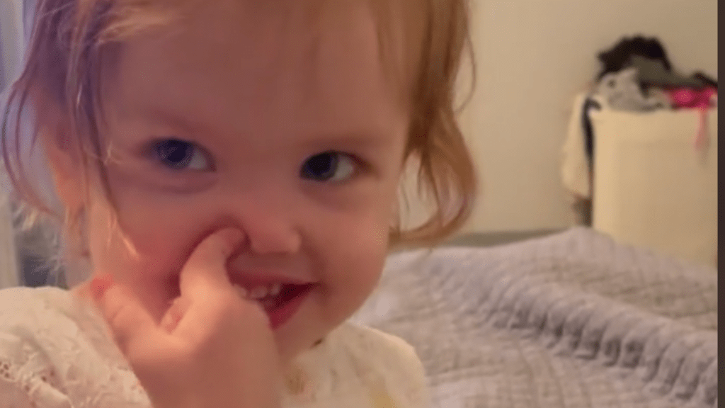 toddler roast