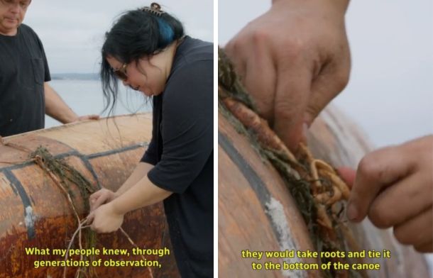 Left image shows a Mi'kmaq man and woman tying spruce roots to the bottom of their canoe to deter white sharks. Right image shows a closeup of the eelgras used to attach the roots.