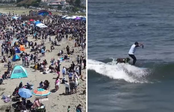 Left image shows the crowd at the World Dog Surfing Championships. Right image shows a surfer with his dog riding a wave.