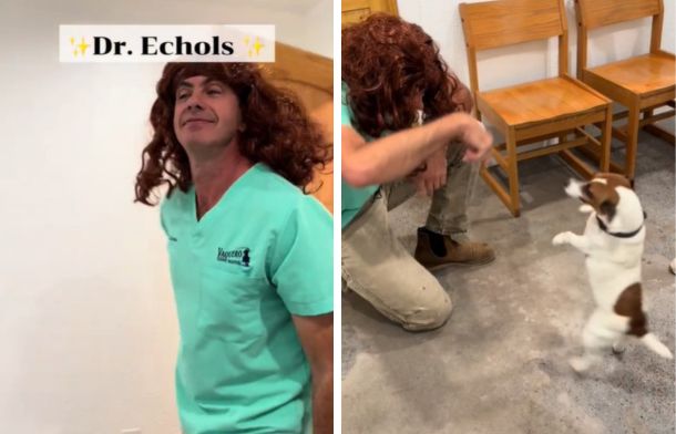 Left image shows a male vet in a wig disguise to treat a tiny dog that doesn't like men. Right image shows the "female" vet playing with the now-happy puppy.