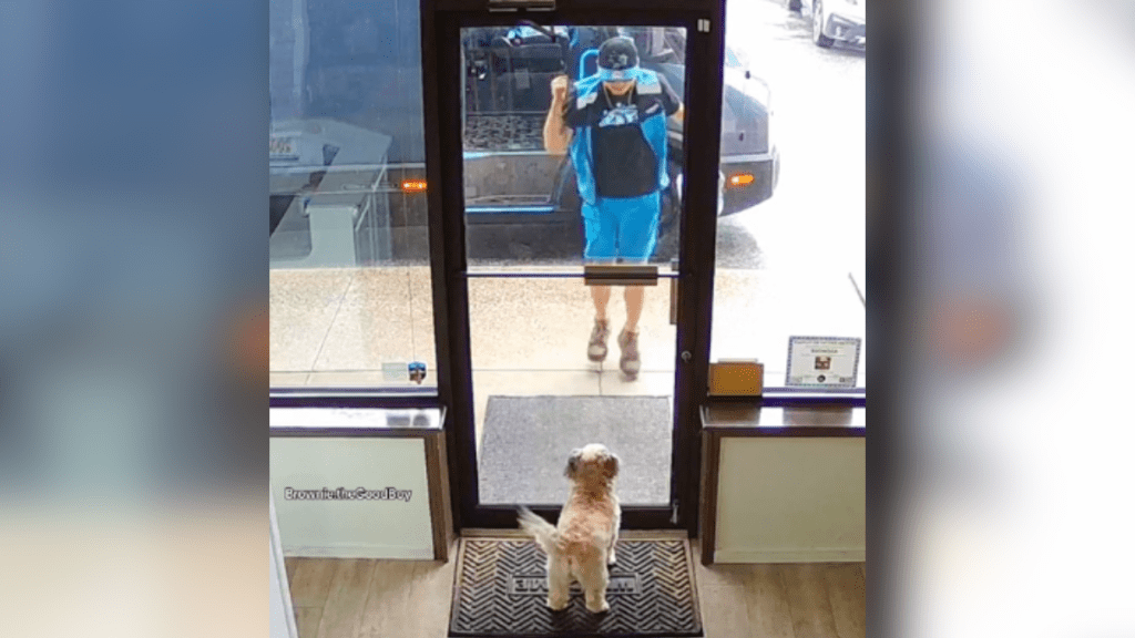 delivery man and dog