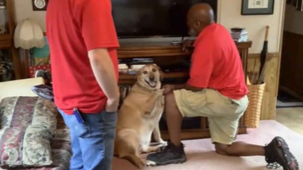 A cable guy holding a happy dog's paw while working.