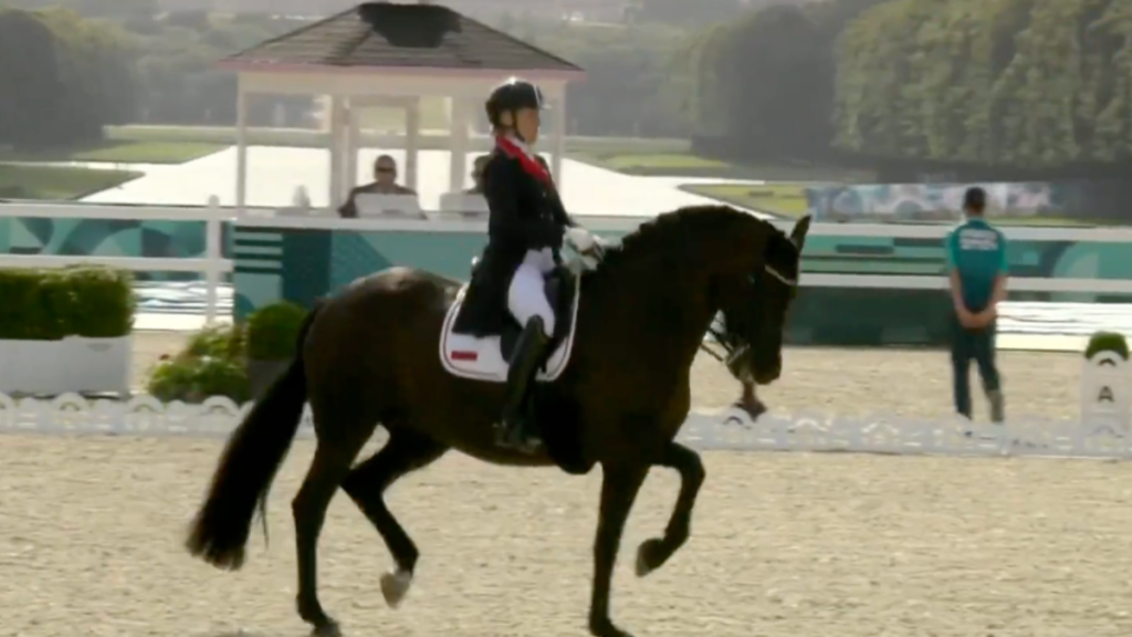 Olympic Dressage Horse