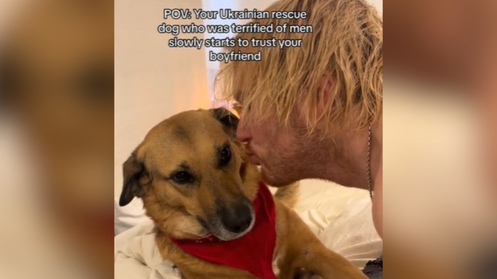 A dog looks unsure as a man get close to kissing her on the cheek. Text on the image says: POV: Your Ukrainian rescue dog who was terrified of men slowly starts to trust your boyfriend