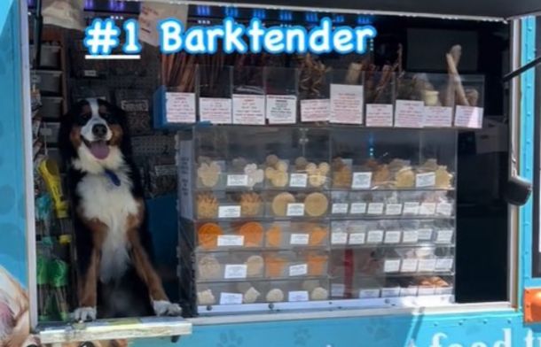 Image shows a dog, the "#1 Barktender," ready to wait on customers at the dog food truck.