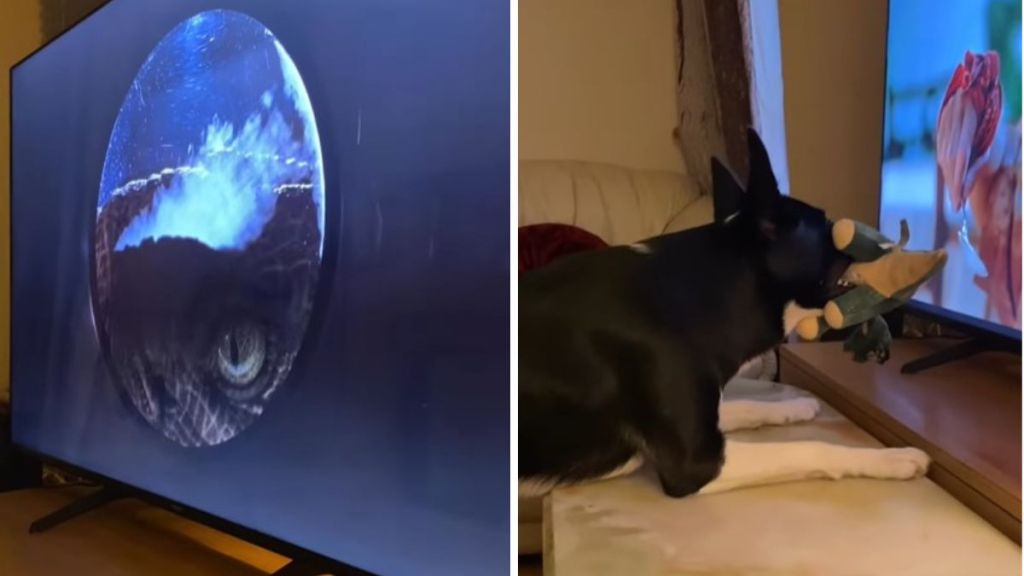 Left image shows the eye of a velociprator raptor peeking through a kitchen door window. Right image shows a dog barking a warning to the children in Jurassic Park about the velociraptor behind them in the kitchen scene.