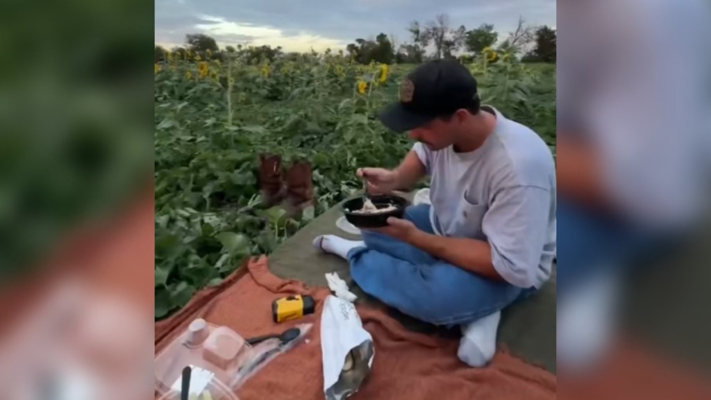 A man sits on a picnic blanket, eating from a container. The picnic is set up in a field of sunflowers.
