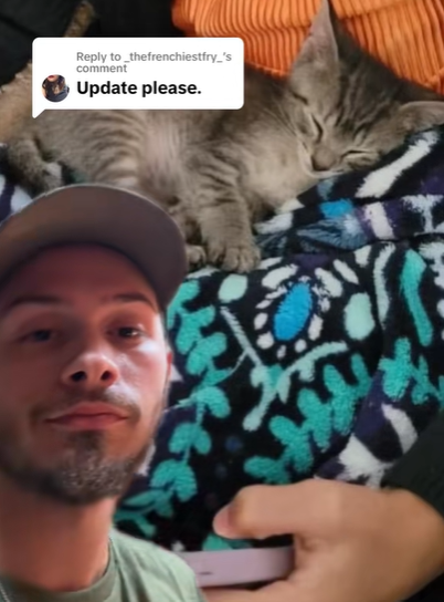 A man gives a small smile as he shows off a photo using the green screen option of TikTok. Behind him is an image of a small kitten with their eyes closed as they rest on a blanket on someone's lap.