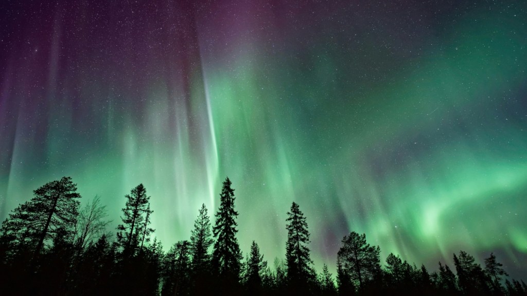 View of the northern lights above a line of trees, which appear like dark shadows. The sky is full of greens and purples.