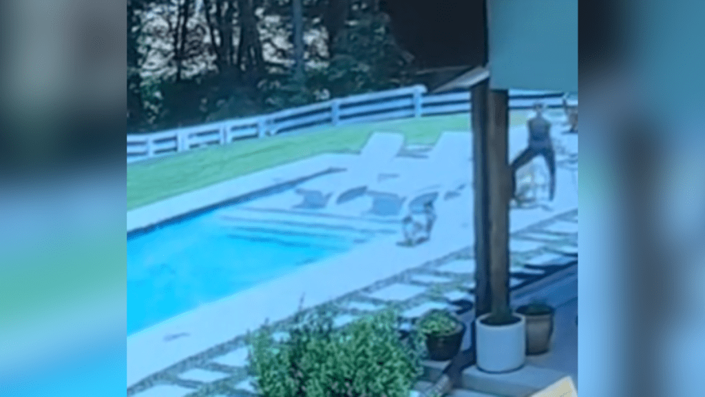 woman pulling donkey out of a pool